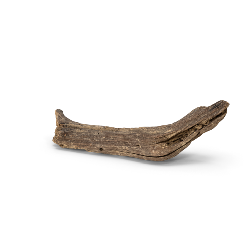 Broken Driftwood Piece