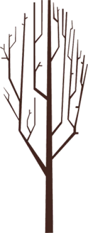 animated tree - Clear Tree animated tree