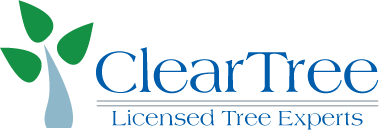logo_cleartree